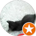 Raquel A. profile picture