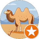 dvdg profile picture
